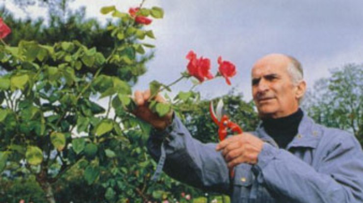 Двадцать лет назад умер великий комик Луи де Фюнес