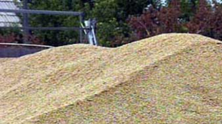 Рекордный урожай зерновых будет в Аргентине в 2003 году