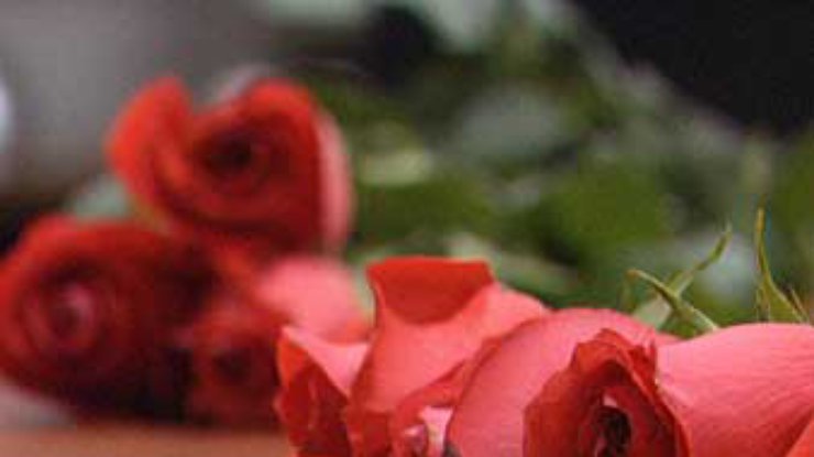 В Сингапуре создадут самый большой в мире букет роз