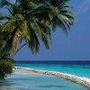Крым ввел курортный сбор с отдыхающих