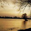 Продолжается повышение уровня воды на реках Украины