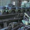 С начала 2003 года на предприятиях Украины погибли 226 работников
