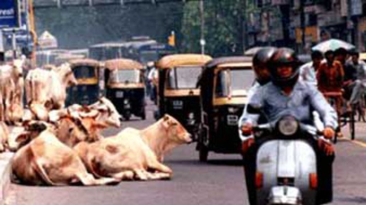 Более 450 водителей задержаны в Нью-Дели за вождение в нетрезвом виде