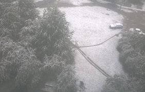 В Украине выпал первый снег