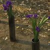 На акції у Києві висадили квіти у гільзах