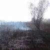 Пожары под Киевом рекордно расширили свою площадь (видео)