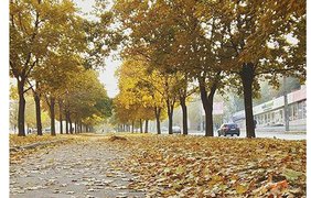 Осень в Днепропетровске привлекает туристов со всей Украины. Фото dneprgram