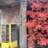 Осень в Чернобыле: сталкеры поделились жуткими фото