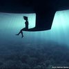 Фотограф три года погружался под воду ради уникальных фото