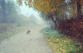 Украину и Россию окутал туман (Instagram)
