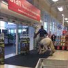 В Ирландии мужчина отправился в супермаркет на коне 