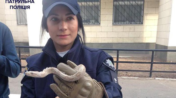 Бесстрашная девушка держит в руках пойманного удава. Facebook/police.gov.ua