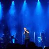 Зал встал на колени на концерте Юрия Шевчука (видео)
