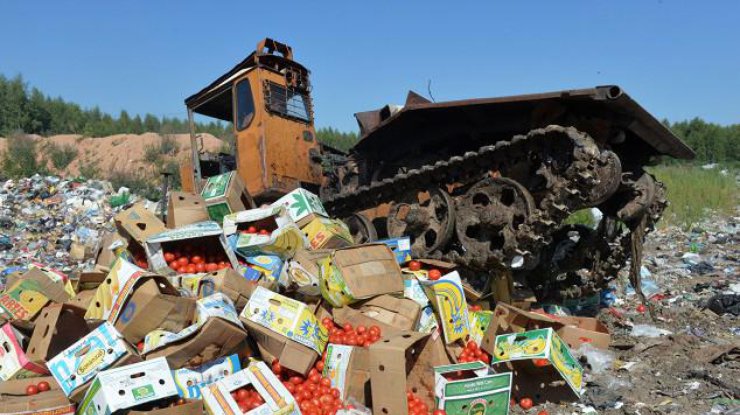 В России уничтожили 787 тонн запрещенной еды
