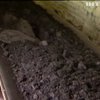 На Донбасі перекрили канал незаконного постачання вугілля