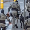 В Бельгии задержаны 5 подозреваемых в терактах в Париже