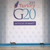 В саммите G20 приняли участие трое котов (видео)