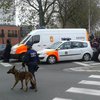 В Брюсселе ловят террористов из Парижа со стрельбой и взрывами (фото)