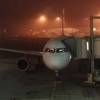 В Амстердаме отказал двигатель у самолета авиакомпании Czech Airlines
