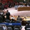 В ООН призвали уничтожить убежище ИГИЛ в Сирии