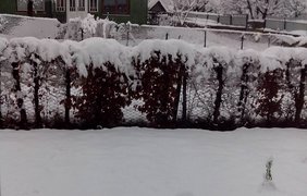 Карпаты засыпало снегом