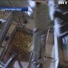 На Рівненщині вилучили 270 кг бурштину