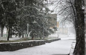 В Киеве радуются первому снегу