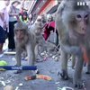 У Таїланді влаштували бенкет для тисяч мавп