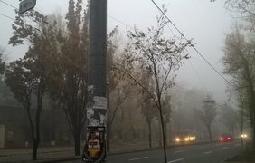 Киев окутал мощнейший туман