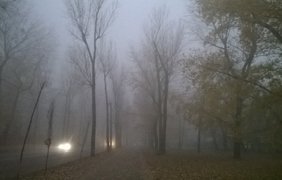 Киев окутал мощнейший туман