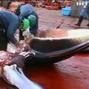 Японія поновлює полювання на китів попри заборону 