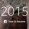 Facebook определил самые популярные темы 2015 года (видео)