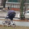 В Киеве BMW сбил коляску с младенцем (видео)
