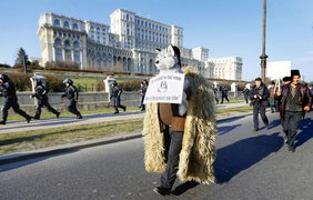 Пастухи в овечьих шкурах ворвались в парламент Румынии. Фото epa.eu