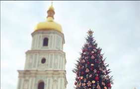В Киеве нарядили главную елку страны. Фото folk.ukraine