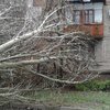 В Одессе из-за бури погиб человек (фото)