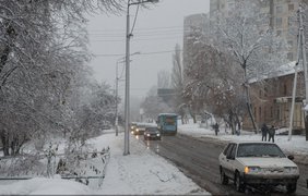 В Харькове стихия повалила деревья. Фото city.kharkov.ua