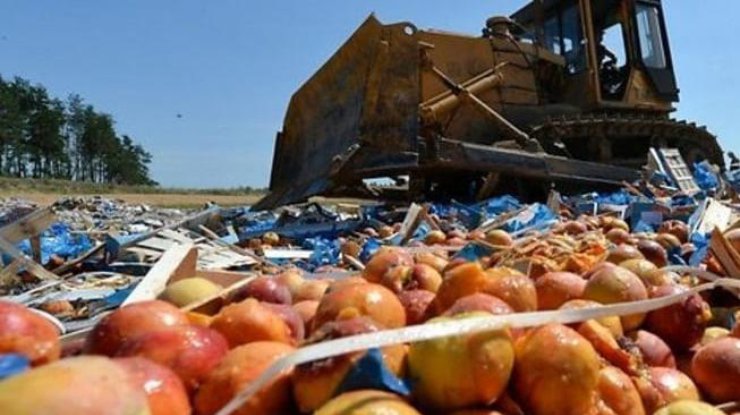 Россия будет уничтожать продукты питания из Турции