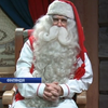Санта-Клаус з ельфами пакує подарунки до Різдва (відео)