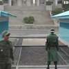 КНДР хочет открыть границу и подружиться с США
