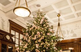 В этом году ёлки в гостинице The Savoy украшены розовыми бантами