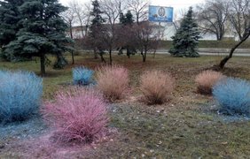 В Киеве появился разноцветный снег возле станции метро "Левобережная"