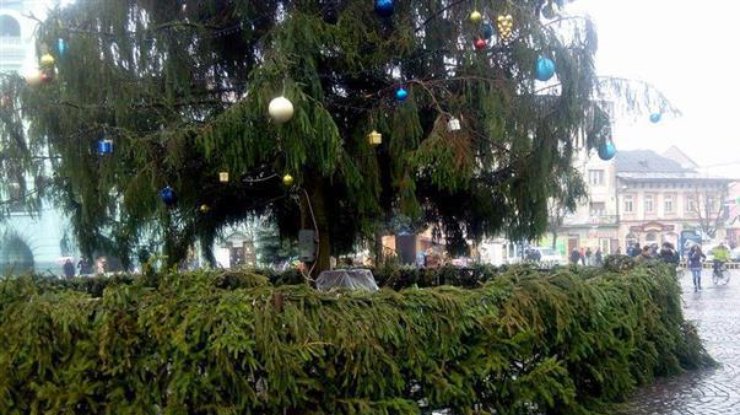 В Мукачево обокрали новогоднюю елку. Фото mukachevo.net