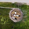Лучшие фото беспилотников: гнездо аистов и водопады 