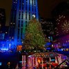 В США похвастались рождественской елкой (фото)