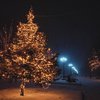 Украина встретит Новый год со снегом и морозом
