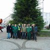 В центре Киева установили первую новогоднюю елку (фото)