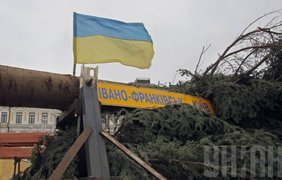 Новый год в Киеве украсит огромная елка (фото)