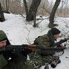 Террористы хотят новых переговоров по Донбассу в скайпе