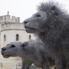 Художница из Лондона создает животных из проволоки (фото)